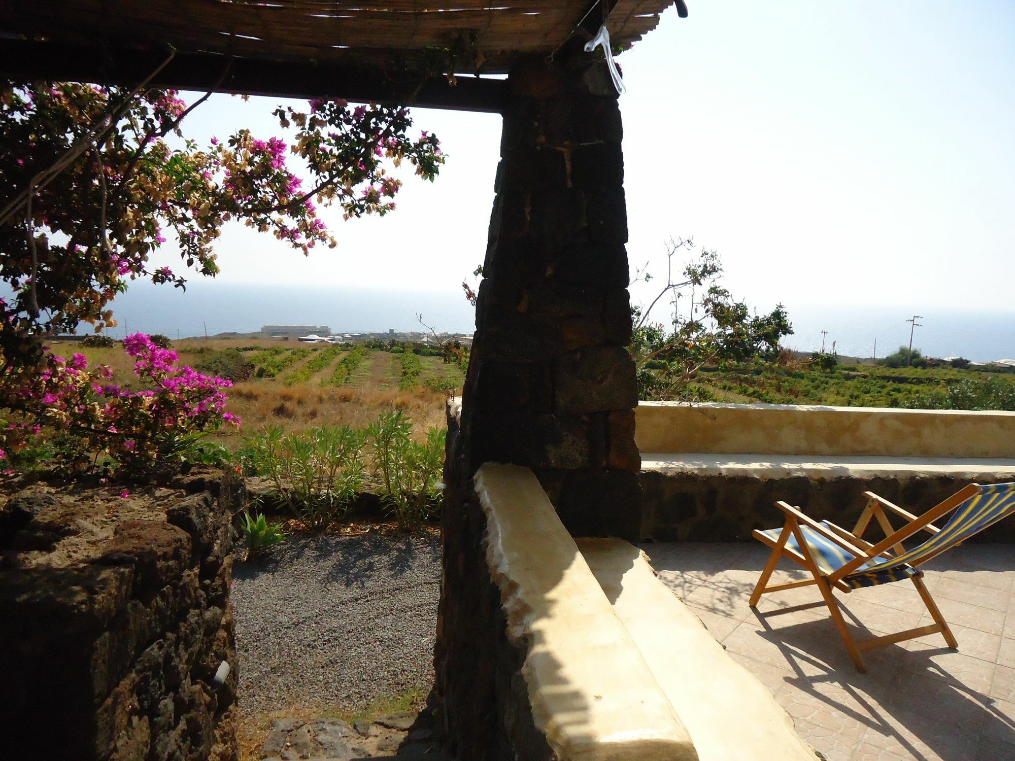 Agriturismo Zibibbodoro 스카우리 외부 사진